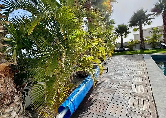 فيلة Adelina In أذيخي